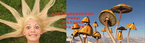 прущая мука Абаза