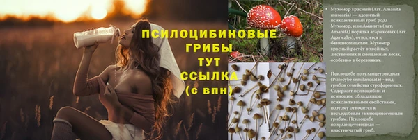 apvp Яранск