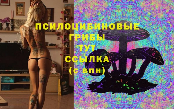ALPHA PVP Абинск