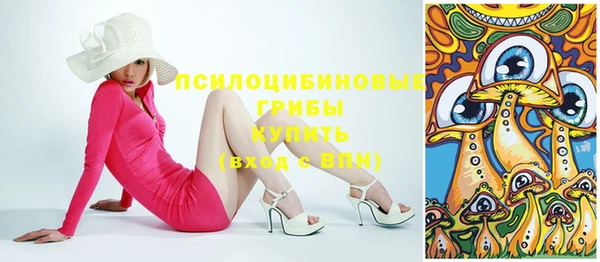 apvp Яранск